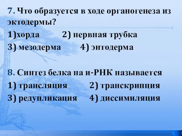 7. Что образуется в ходе органогенеза из эктодермы? 1)хорда 2) нервная трубка