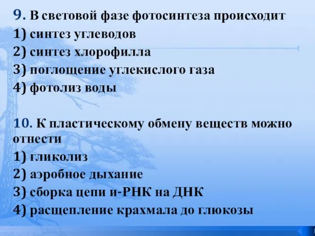 9. В световой фазе фотосинтеза происходит 1) синтез углеводов 2) синтез хлорофилла