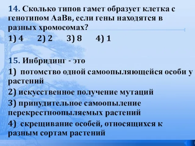 14. Сколько типов гамет образует клетка с генотипом АаВв, если гены находятся