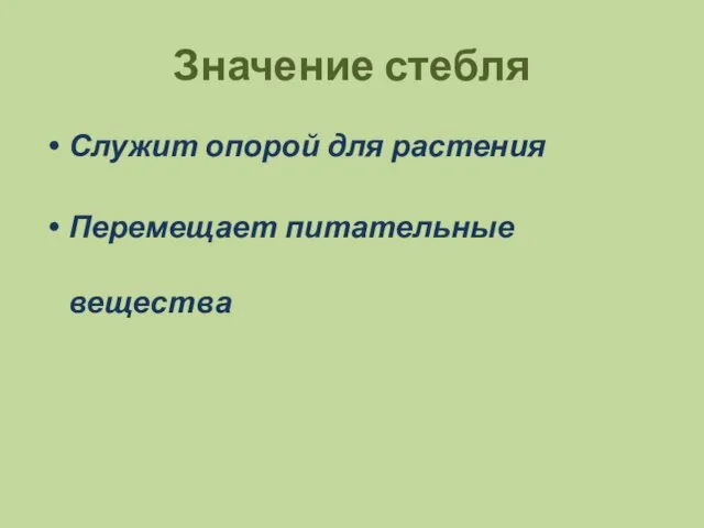 Значение стебля Служит опорой для растения Перемещает питательные вещества