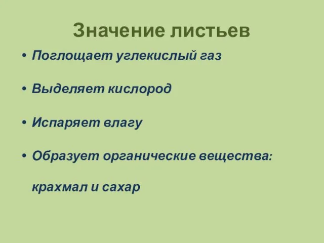 Значение листьев Поглощает углекислый газ Выделяет кислород Испаряет влагу Образует органические вещества: крахмал и сахар