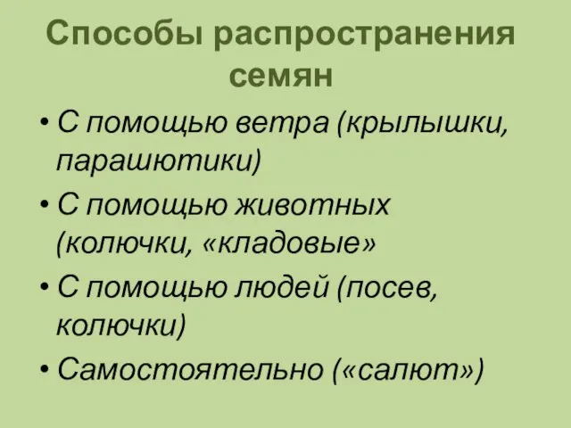 Способы распространения семян С помощью ветра (крылышки, парашютики) С помощью животных (колючки,