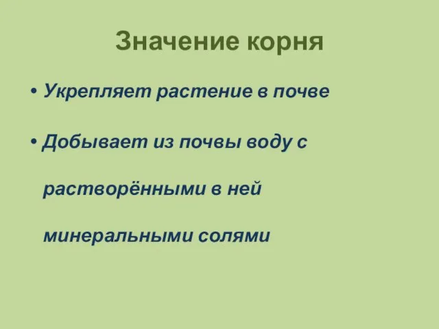 Значение корня Укрепляет растение в почве Добывает из почвы воду с растворёнными в ней минеральными солями