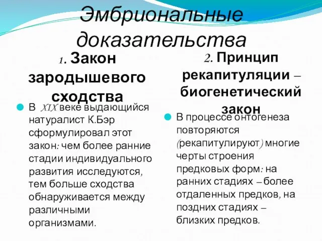 Эмбриональные доказательства 1. Закон зародышевого сходства 2. Принцип рекапитуляции –биогенетический закон В