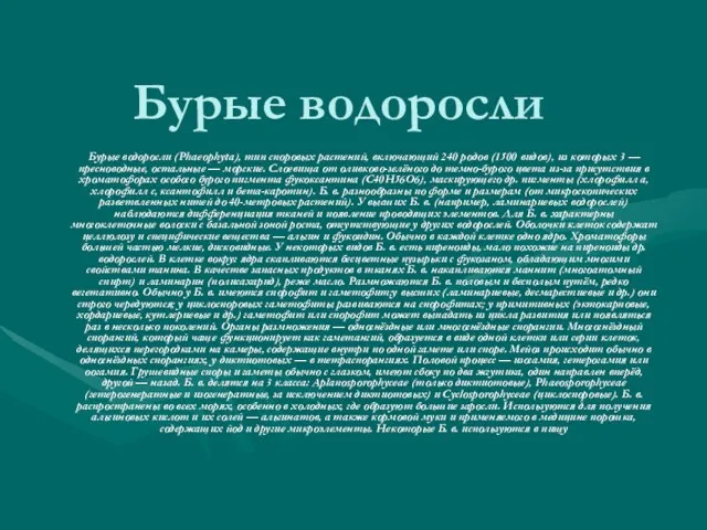 Бурые водоросли Бурые водоросли (Phaeophyta), тип споровых растений, включающий 240 родов (1500