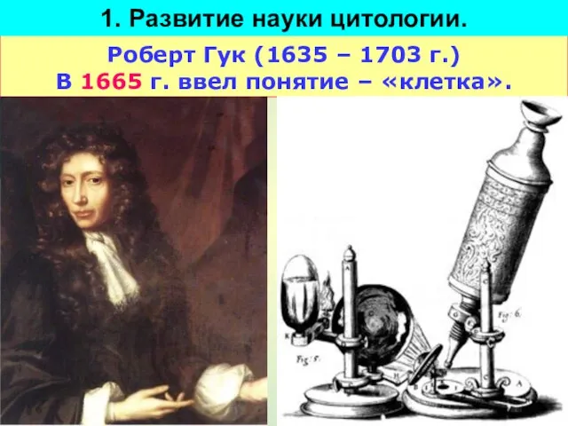 Роберт Гук (1635 – 1703 г.) В 1665 г. ввел понятие –