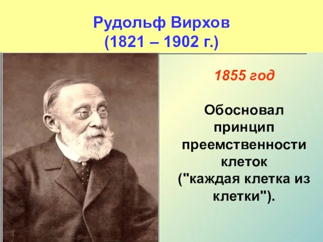 Рудольф Вирхов (1821 – 1902 г.) 1855 год Обосновал принцип преемственности клеток ("каждая клетка из клетки").