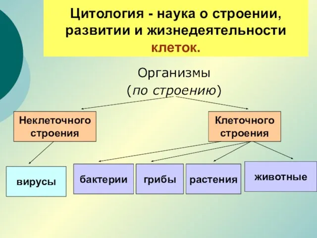 Цитология - наука о строении, развитии и жизнедеятельности клеток. Организмы (по строению)