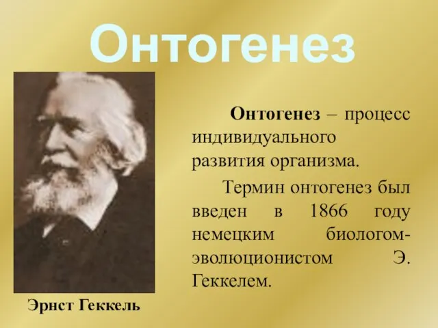 Онтогенез Онтогенез – процесс индивидуального развития организма. Термин онтогенез был введен в