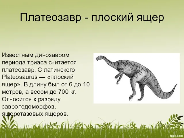 Платеозавр - плоский ящер Известным динозавром периода триаса считается платеозавр. С латинского