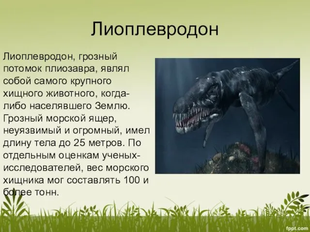 Лиоплевродон Лиоплевродон, грозный потомок плиозавра, являл собой самого крупного хищного животного, когда-либо