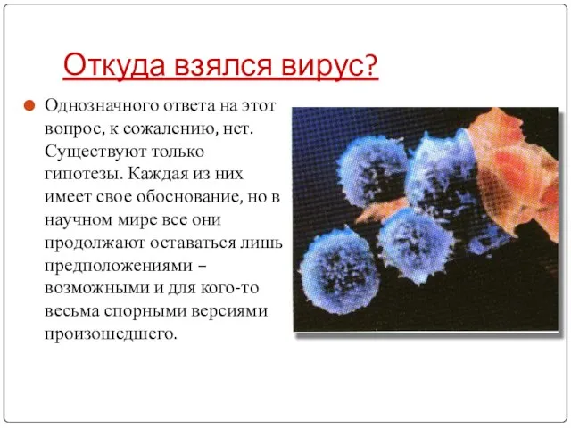 Откуда взялся вирус? Однозначного ответа на этот вопрос, к сожалению, нет. Существуют