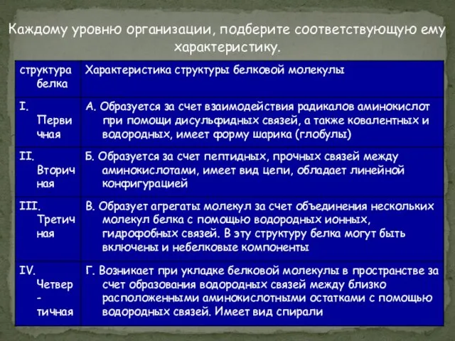 Каждому уровню организации, подберите соответствующую ему характеристику.