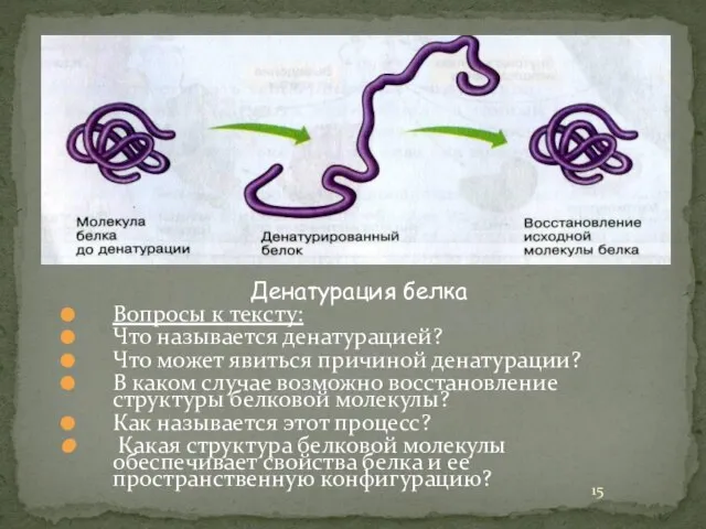 Денатурация белка Вопросы к тексту: Что называется денатурацией? Что может явиться причиной