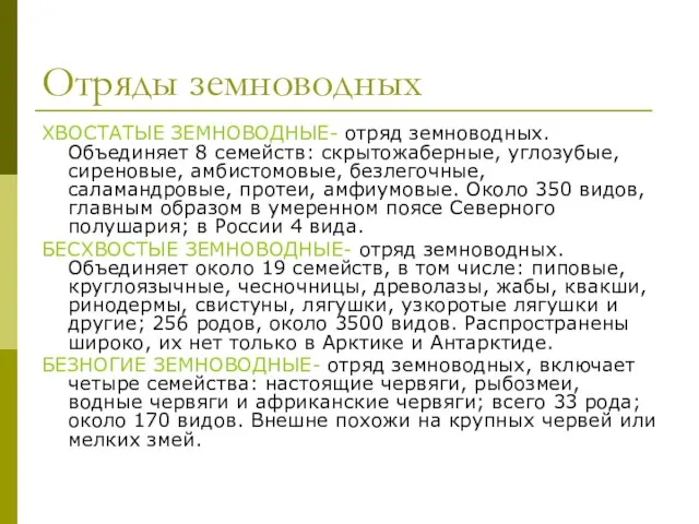 Отряды земноводных ХВОСТАТЫЕ ЗЕМНОВОДНЫЕ- отряд земноводных. Объединяет 8 семейств: скрытожаберные, углозубые, сиреновые,