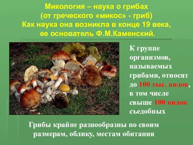 Микология – наука о грибах (от греческого «микос» - гриб) Как наука