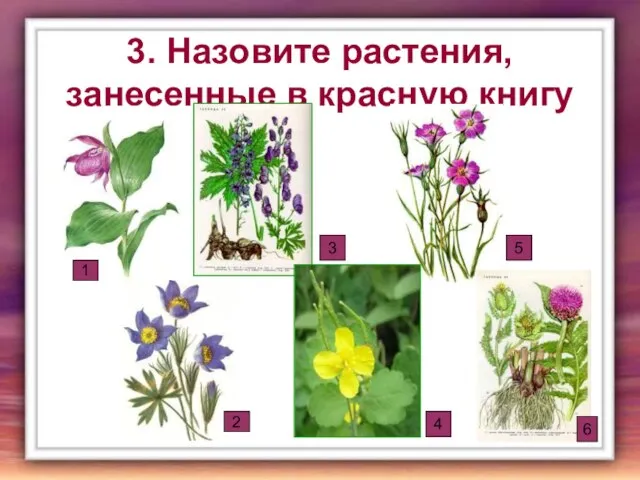 3. Назовите растения, занесенные в красную книгу 1 2 3 4 5 6