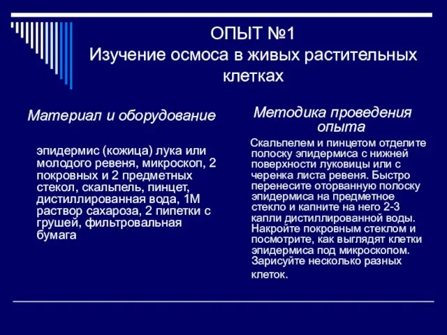 ОПЫТ №1 Изучение осмоса в живых растительных клетках Материал и оборудование эпидермис