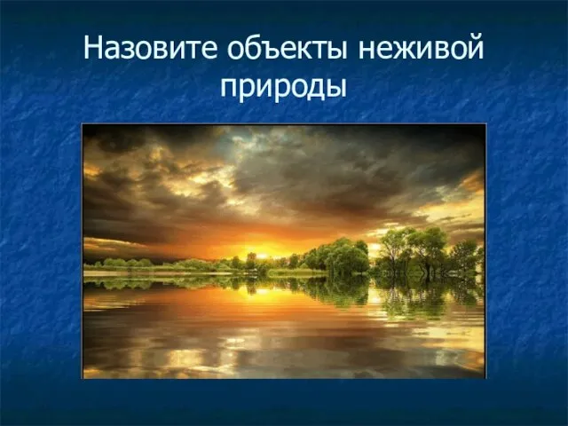 Назовите объекты неживой природы