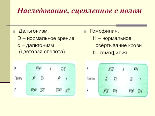 Наследование, сцепленное с полом Дальтонизм. D – нормальное зрение d – дальтонизм