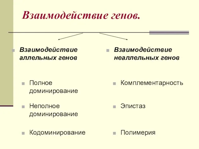 Взаимодействие генов. Неполное доминирование Взаимодействие неаллельных генов Полное доминирование Взаимодействие аллельных генов Кодоминирование Комплементарность Эпистаз Полимерия