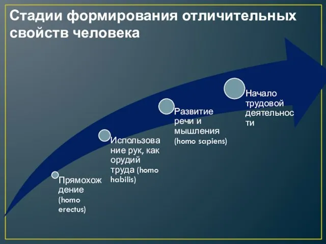 Стадии формирования отличительных свойств человека