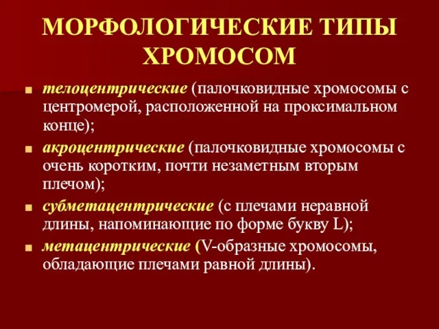 МОРФОЛОГИЧЕСКИЕ ТИПЫ ХРОМОСОМ телоцентрические (палочковидные хромосомы с центромерой, расположенной на проксимальном конце);