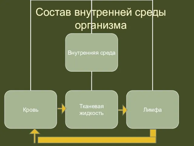 Состав внутренней среды организма