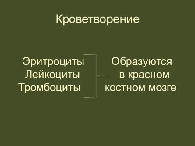 Кроветворение Эритроциты Образуются Лейкоциты в красном Тромбоциты костном мозге