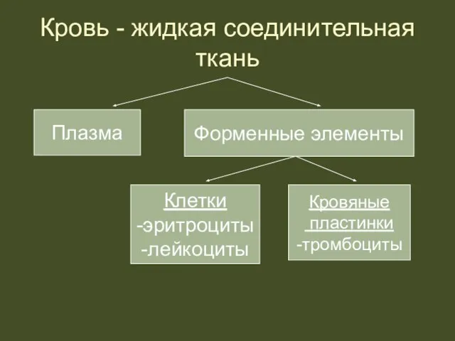 Кровь - жидкая соединительная ткань Плазма Форменные элементы Клетки -эритроциты -лейкоциты Кровяные пластинки -тромбоциты