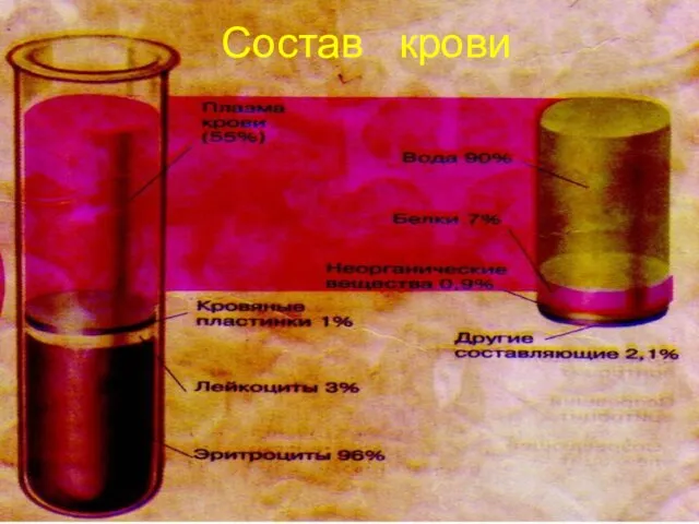 Состав крови