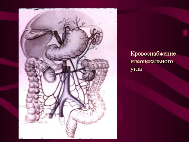 Кровоснабжение илеоцекального угла