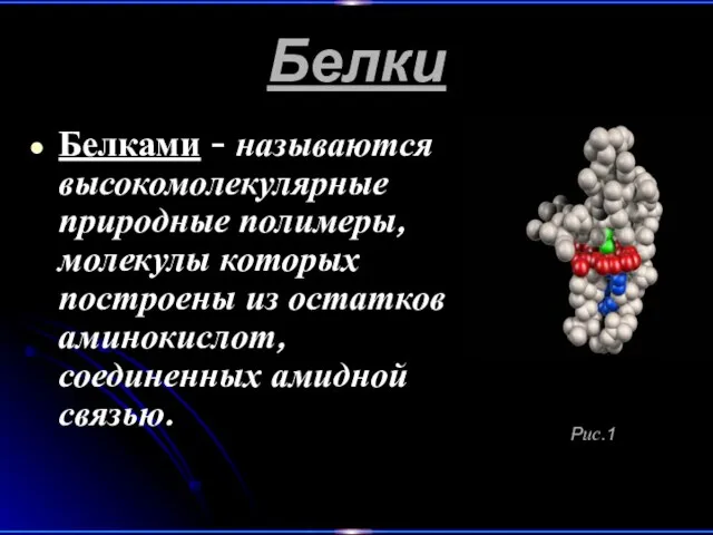 Белки Белками - называются высокомолекулярные природные полимеры, молекулы которых построены из остатков