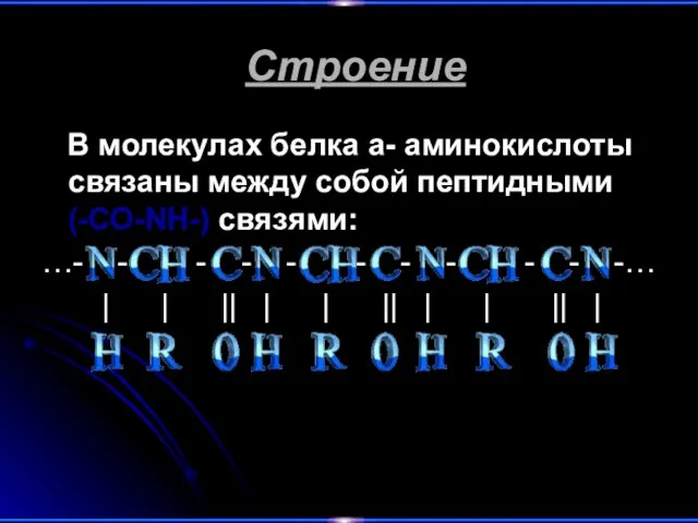 Строение В молекулах белка a- аминокислоты связаны между собой пептидными (-СО-NH-) связями: