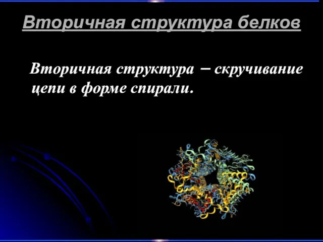 Вторичная структура белков Вторичная структура – скручивание цепи в форме спирали.