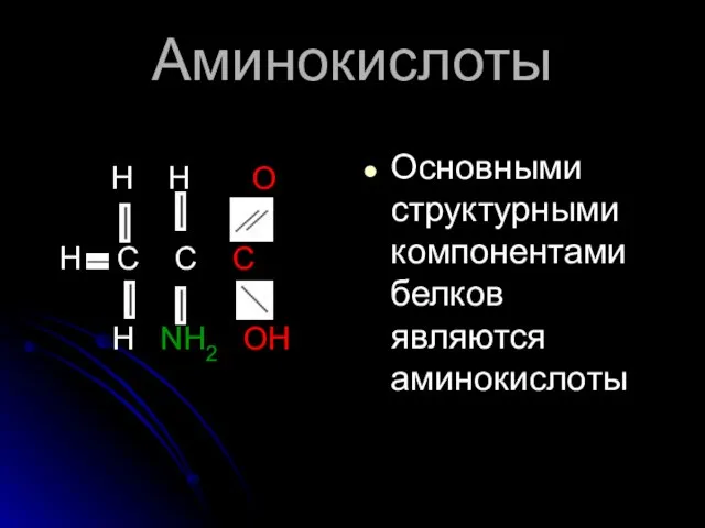 Аминокислоты H H O Н C C C H NH2 OH Основными