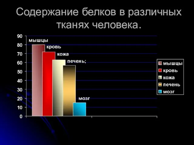 Содержание белков в различных тканях человека.