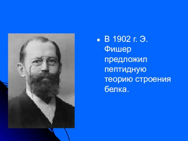 В 1902 г. Э. Фишер предложил пептидную теорию строения белка.