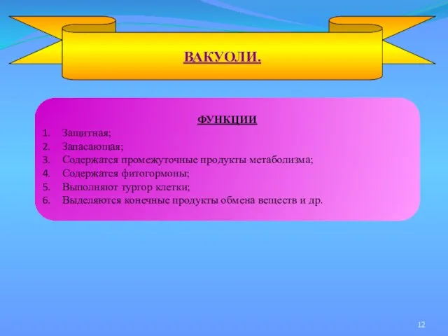 ВАКУОЛИ. ФУНКЦИИ Защитная; Запасающая; Содержатся промежуточные продукты метаболизма; Содержатся фитогормоны; Выполняют тургор