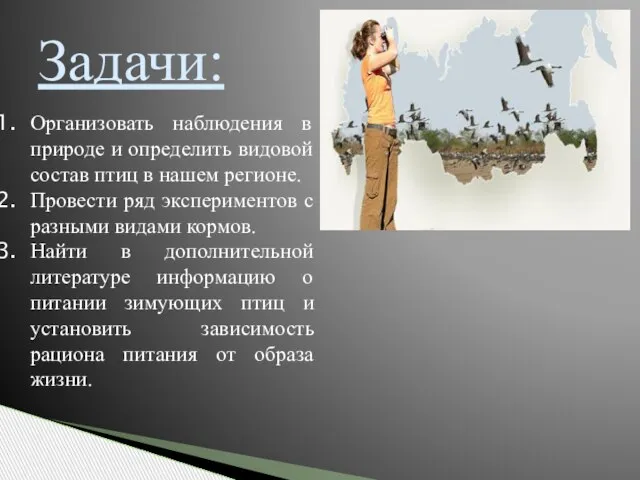 Организовать наблюдения в природе и определить видовой состав птиц в нашем регионе.