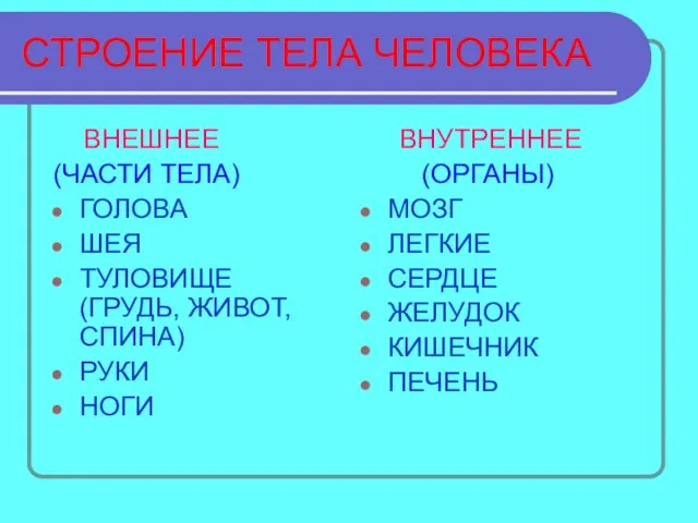 СТРОЕНИЕ ТЕЛА ЧЕЛОВЕКА ВНЕШНЕЕ (ЧАСТИ ТЕЛА) ГОЛОВА ШЕЯ ТУЛОВИЩЕ (ГРУДЬ, ЖИВОТ, СПИНА)