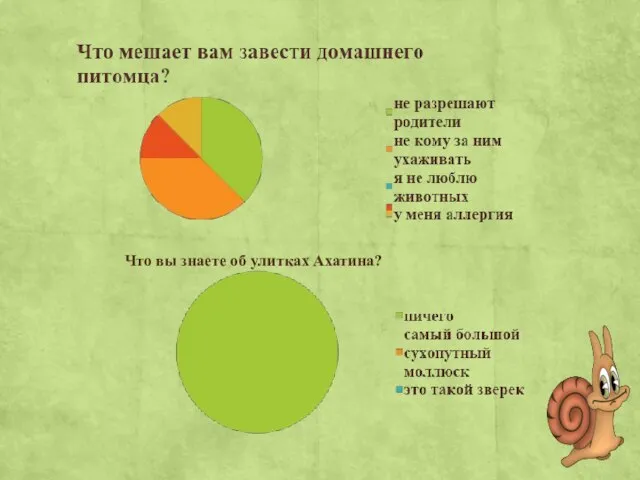 Что вы знаете об улитках Ахатина?