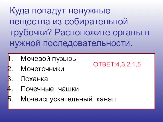 Куда попадут ненужные вещества из собирательной трубочки? Расположите органы в нужной последовательности.