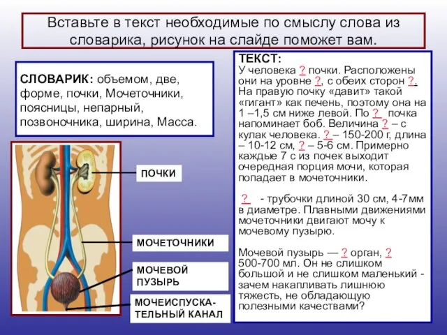 Вставьте в текст необходимые по смыслу слова из словарика, рисунок на слайде