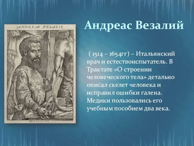 Андреас Везалий ( 1514 – 1654гг) – Итальянский врач и естествоиспытатель. В