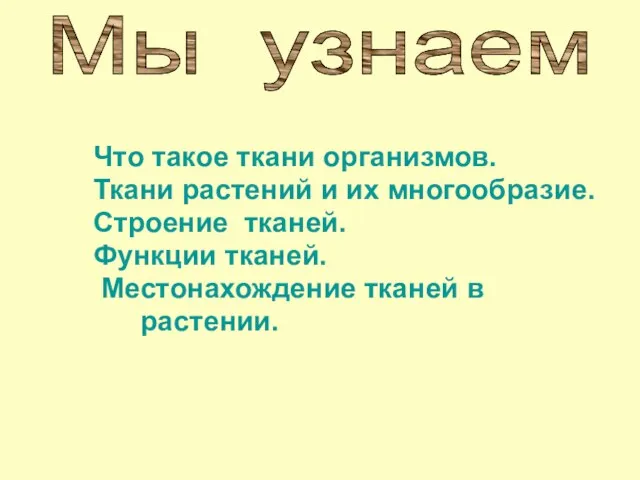 Что такое ткани организмов. Ткани растений и их многообразие. Строение тканей. Функции