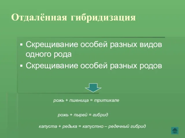 Отдалённая гибридизация Скрещивание особей разных видов одного рода Скрещивание особей разных родов