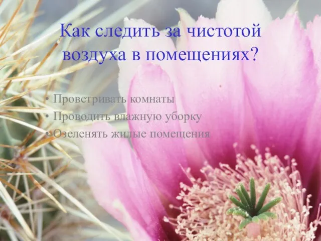 Как следить за чистотой воздуха в помещениях? Проветривать комнаты Проводить влажную уборку Озеленять жилые помещения