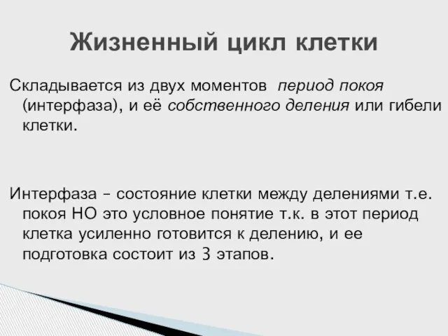 Складывается из двух моментов период покоя (интерфаза), и её собственного деления или