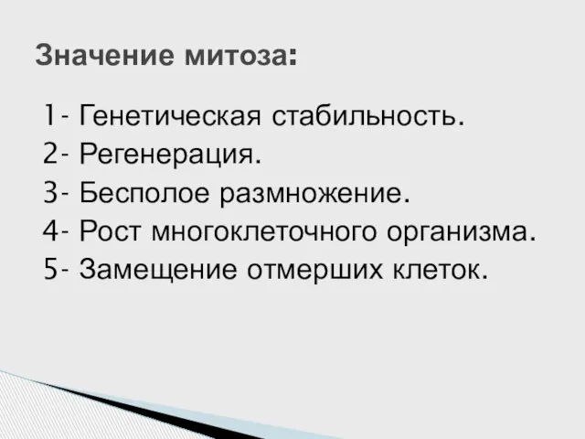 1- Генетическая стабильность. 2- Регенерация. 3- Бесполое размножение. 4- Рост многоклеточного организма.